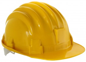 Federal Construction Workers